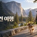 미국 반려견 여행과 요세미티 국립공원
